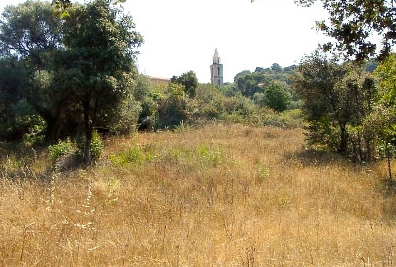  Vente Terrain à bâtir - à Sartène (20100) 