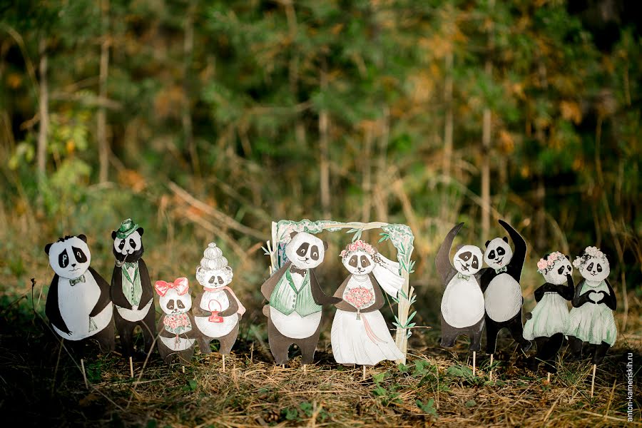 Fotografo di matrimoni Anton Kamenskikh (akamenskih). Foto del 17 settembre 2016