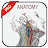 Gray's Atlas of Anatomy Pro icon