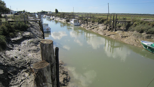 Cayenne canal en Marennes