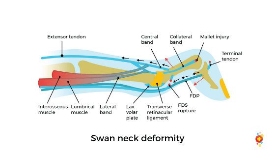 Diagram

Description automatically generated