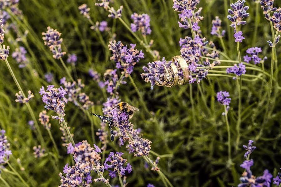 Φωτογράφος γάμων Petr Hrubes (harymarwell). Φωτογραφία: 16 Ιουλίου 2018