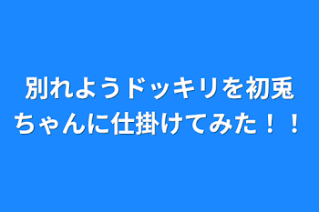 別れようドッキリを初兎ちゃんに仕掛けてみた！！