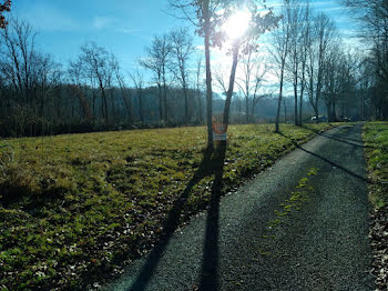 terrain à Loubejac (24)