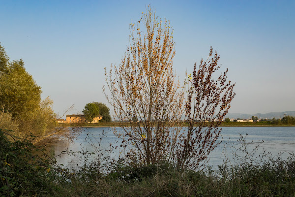 Pianure di Lombardia fra lanche e casolari di Pi_M_Pi