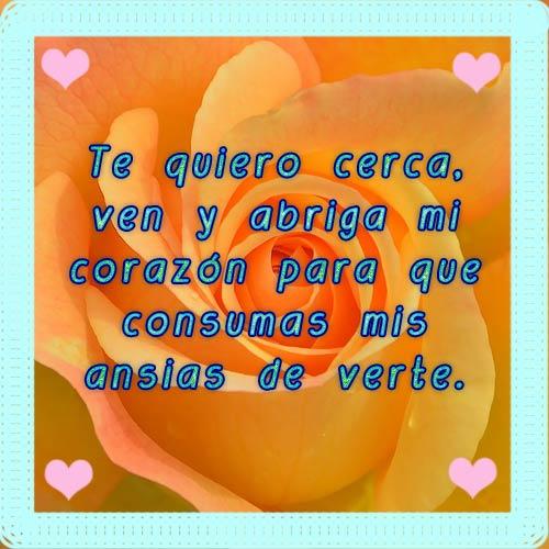 Download Poemas, rimas y versos de amor con hermosas rosas Free 