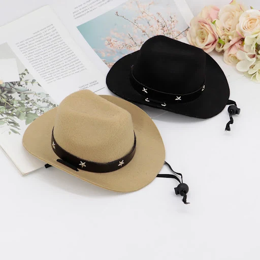 Fashion Dog Cowboy Hat Dogs Cat Outdoor Hats Caps For Small Medium Dogs Cats Headwear Pet Accessories Pitbull