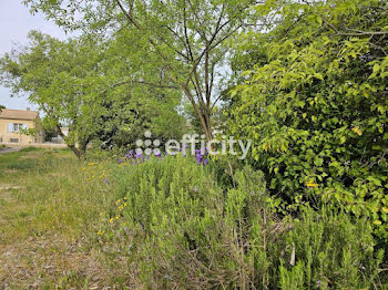 terrain à Gallargues-le-Montueux (30)