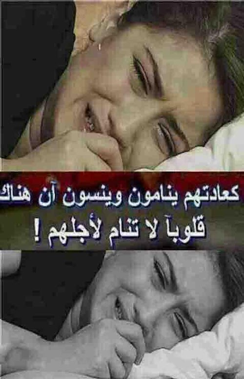 Android application صور حب و عشق و غرام و رومانسية screenshort