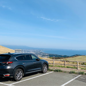 CX-8 KG2P
