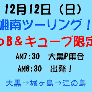 bB NCP31