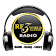 RF3 World Radio icon