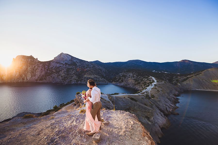 Wedding photographer Dmitriy Shishkov (dmitriyshi). Photo of 25 November 2016