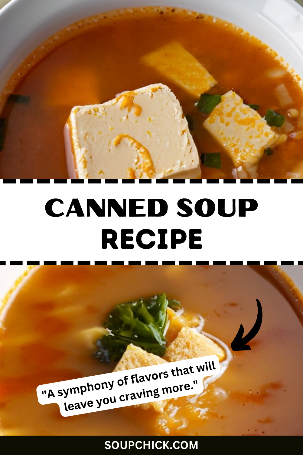 cannned soup recipes