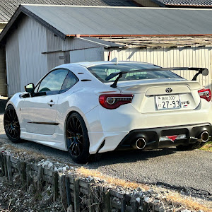 86 ZN6