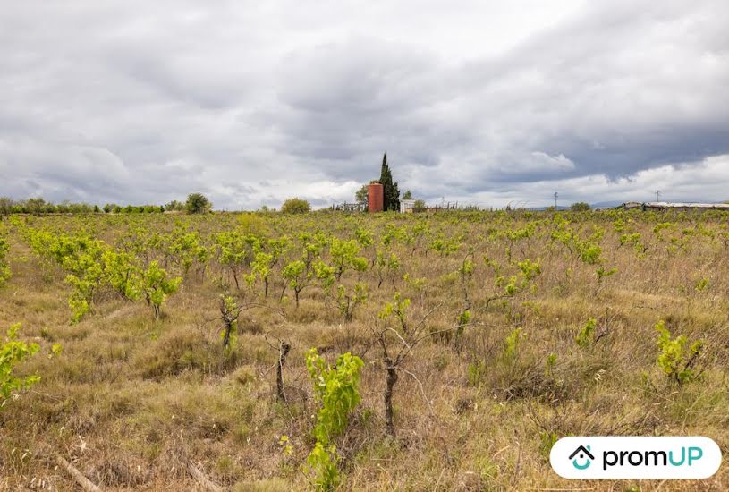  Vente Terrain agricole - 34 500m² à Puicheric (11700) 