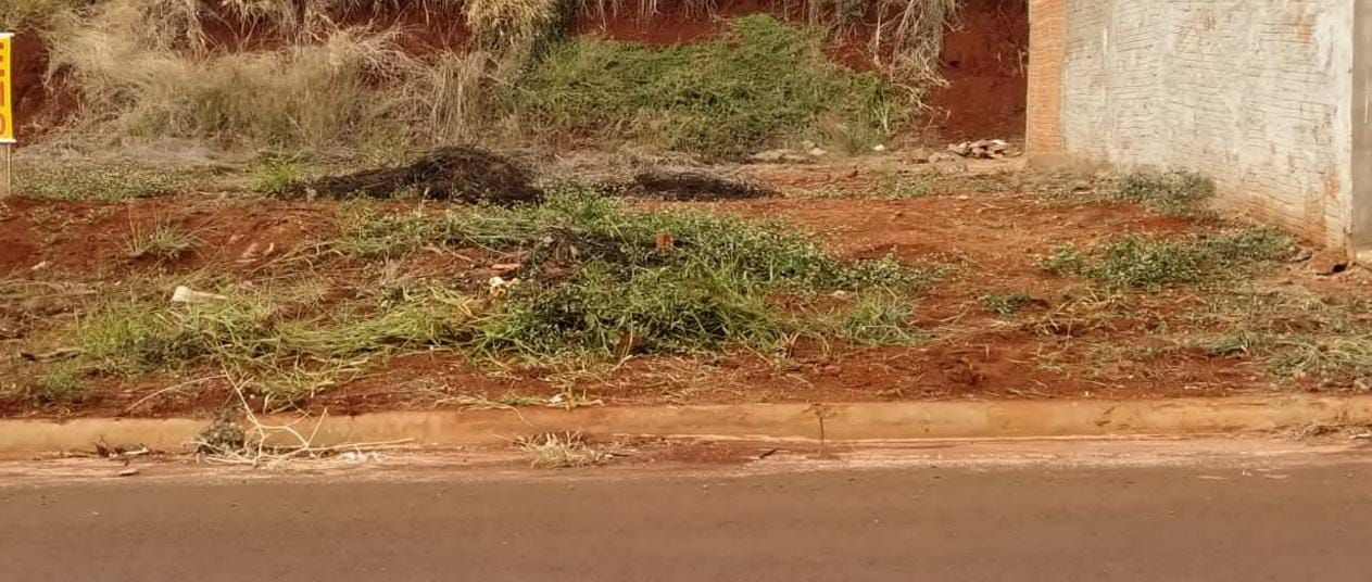 Terrenos à venda Rodovia