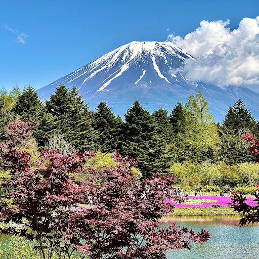 みかん3のプロフィール画像