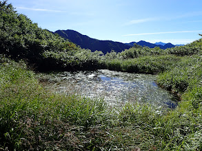 登山道の脇に池塘