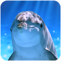 Tap Dolphin -3Dsimulation game