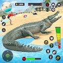 Angry crocodile beach attack