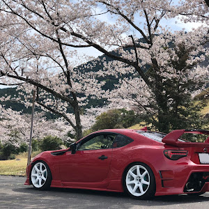 BRZ ZC6