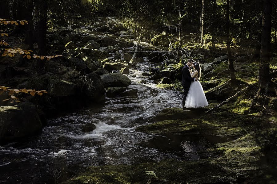 Fotograful de nuntă Teodor Klepczyński (klepczynski). Fotografia din 18 octombrie 2019