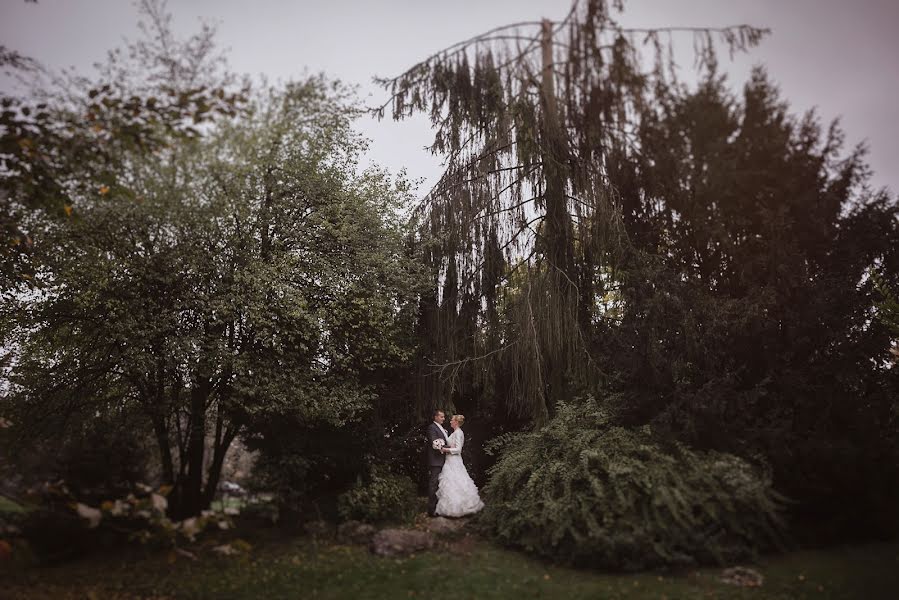 Fotografo di matrimoni Vid Jakop (vidjakop). Foto del 12 febbraio 2016