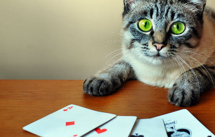 iMoneySlots, Even Cats Gamble Games! small promo image