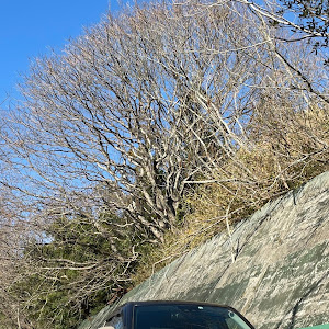 ライズ A210A