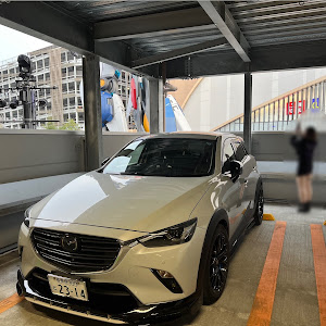 CX-3 DK8FW