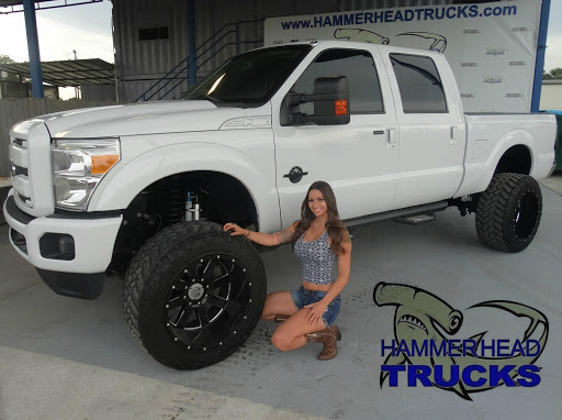 Hammerhead Trucks