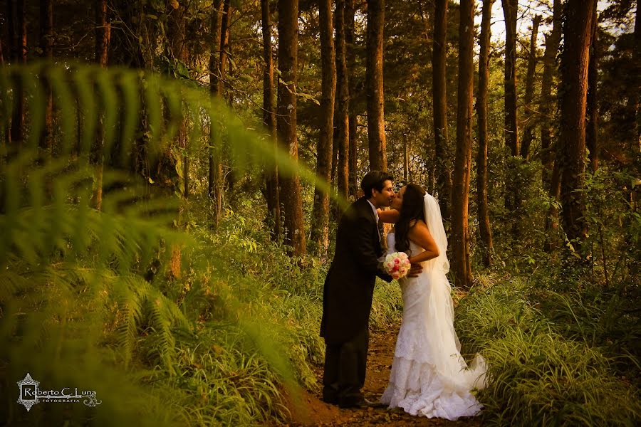 Fotografo di matrimoni Roberto Luna (robertoluna). Foto del 27 maggio 2016