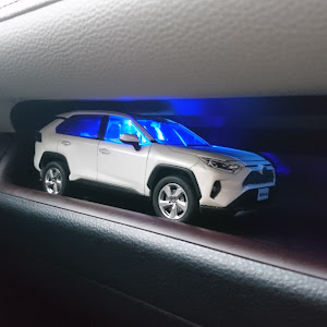 RAV4 MXAA54