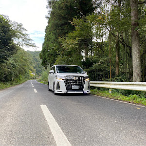 アルファード AGH30W