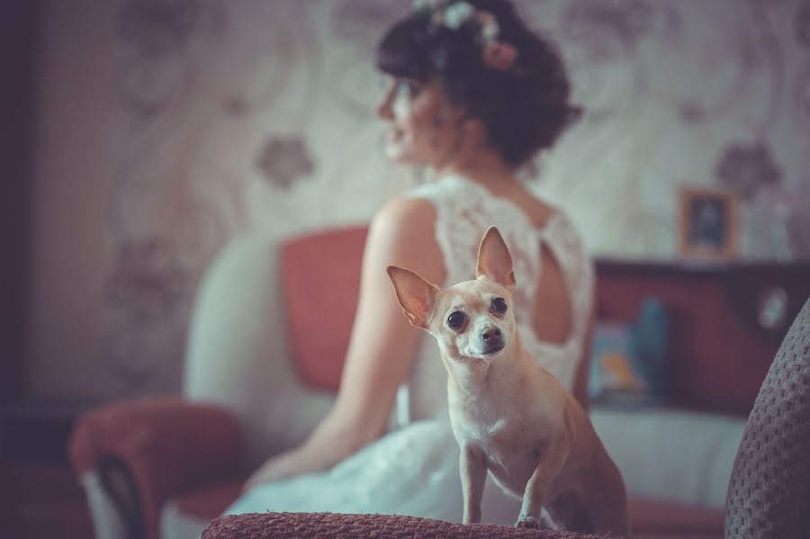 Wedding photographer Sergey Alekseev (fotont). Photo of 29 July 2015