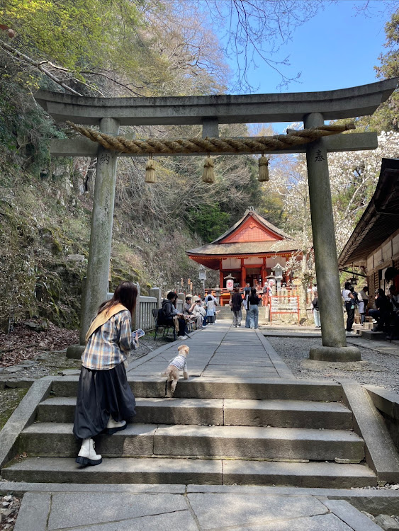 デリカミニの魔女っ子めぐちゃん➰🧹✨さんが投稿したカスタム事例の投稿画像3枚目