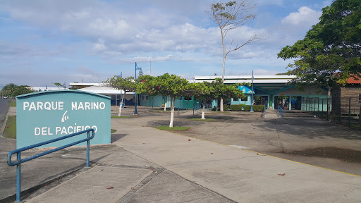 Entrada Parque Marino