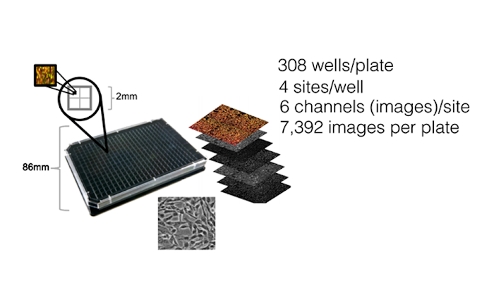 Recursion takes high-resolution photos of miniaturized cell biology experiments – healthy, diseased, and treated cells – and extracts these to data models for ingestion by its cloud-based AI pipeline supported by Google Cloud.