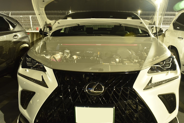 NXのレクサス・LEXUS・カメ活・SUV祭り・オフ会に関するカスタム事例の投稿画像1枚目