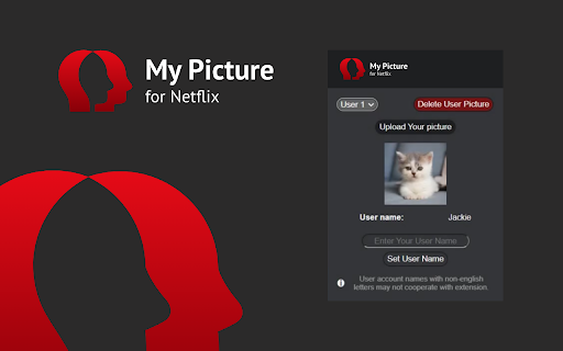 MyPicture for Netflix: custom profile picture