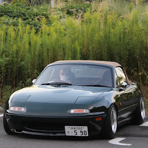 ロードスター NA8C