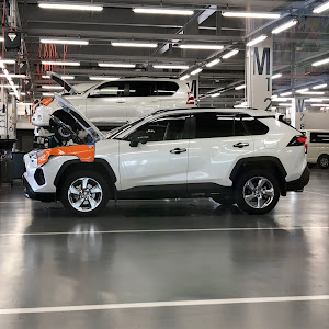 RAV4 AXAH54