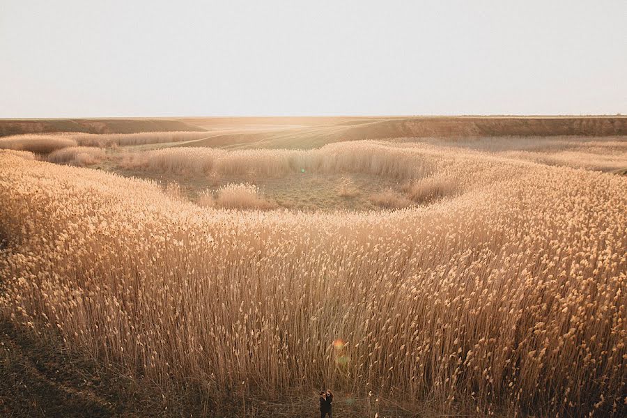 Fotografer pernikahan Aleksandr Shamarin (shamarin). Foto tanggal 23 April 2016