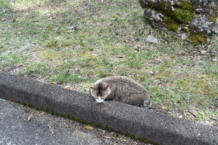 の投稿画像20枚目