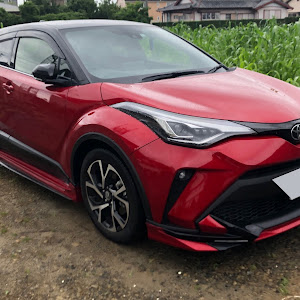 C-HR NGX10