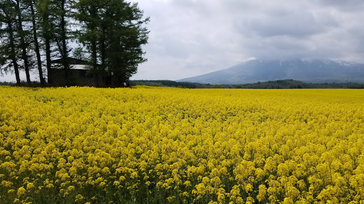 の投稿画像2枚目