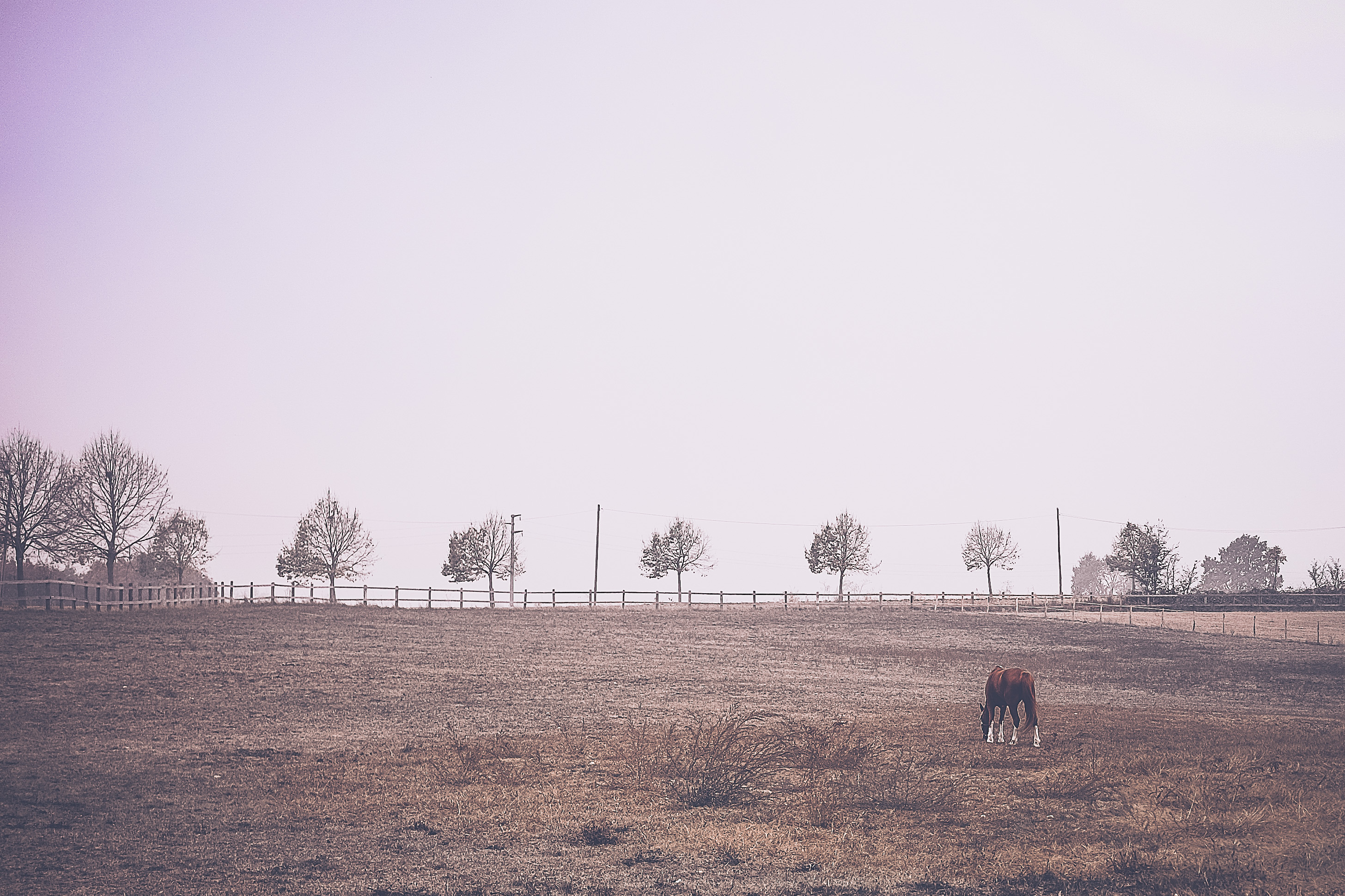 Enjoy the silence di sergiofalzone