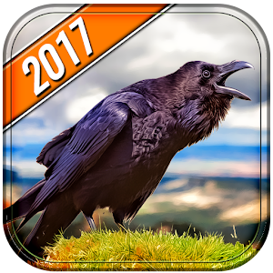 Download Raven Hunting For PC Windows and Mac