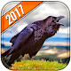 Download Raven Hunting For PC Windows and Mac 1.0